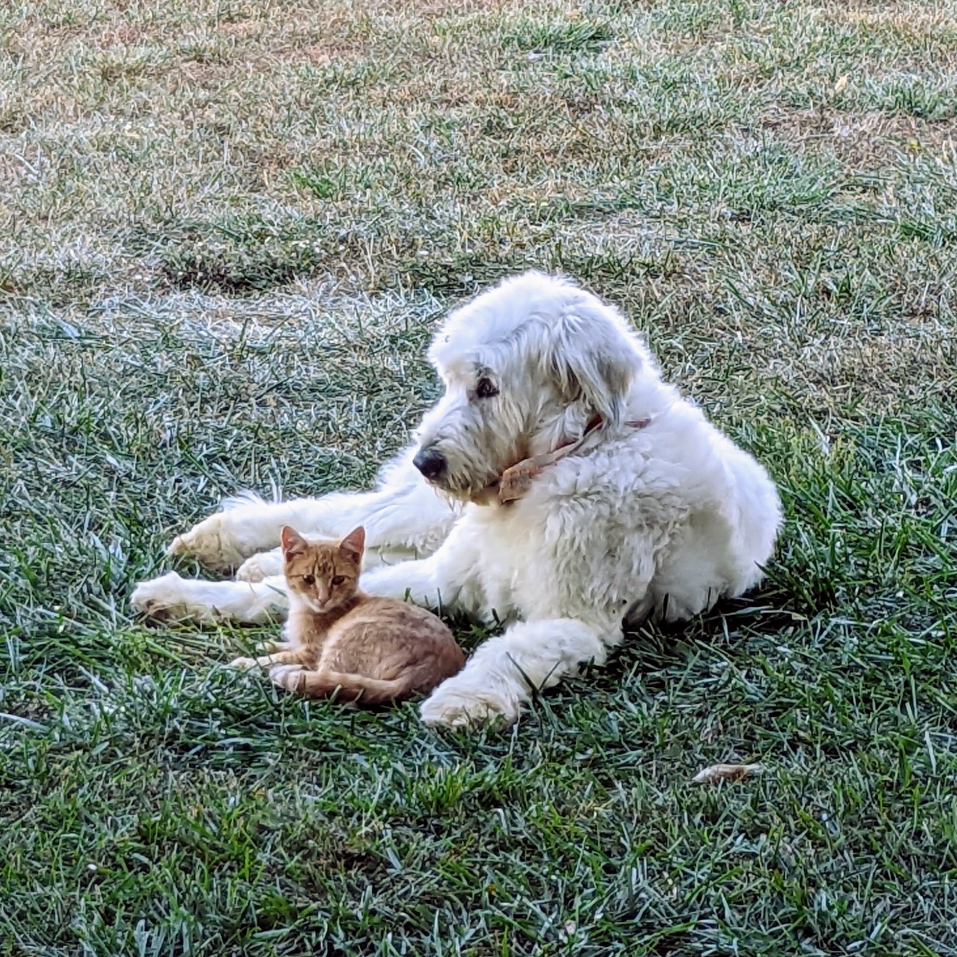 Concerned in Bolivar, MO